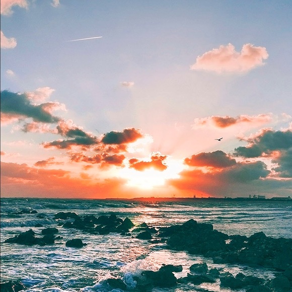 Meet your Posher, Amy - Picture 1 of 1