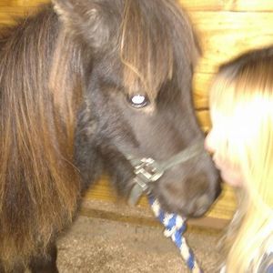 Meet your Posher, Lynette