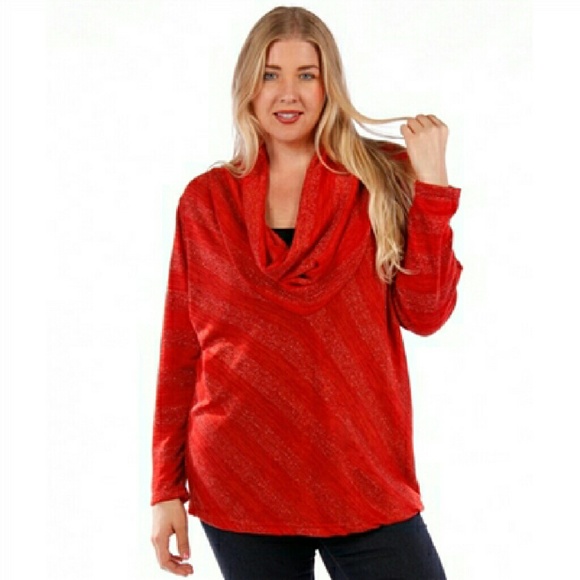 Beautiful Cowel Neck Long Sleeve Plus Size Top