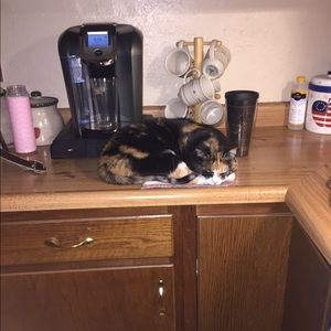 Meet your Posher, Taylor