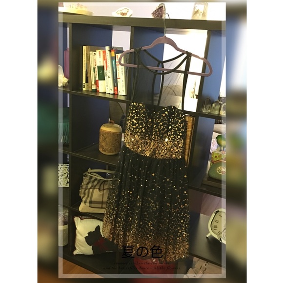 🌸 Crystal doll ~ Beautiful dress