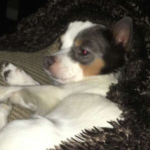 Meet your Posher, Savannah