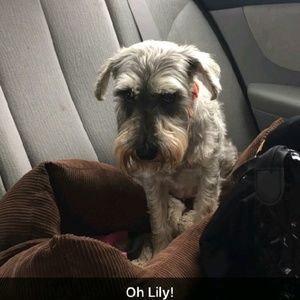 Meet your Posher, Cassie