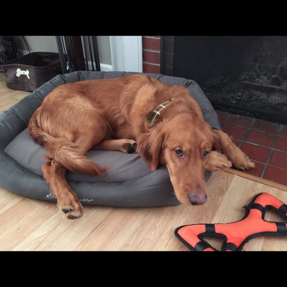 Meet your Posher, Mackenzie