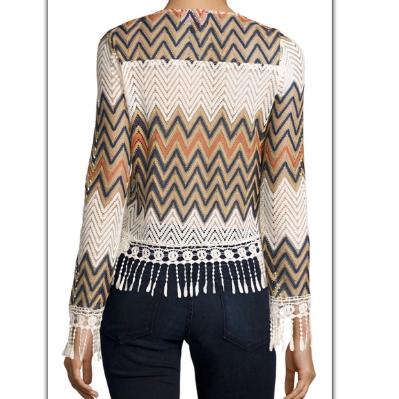 On-Trend Crochet Crop Top With Fringe - Picture 2 of 3