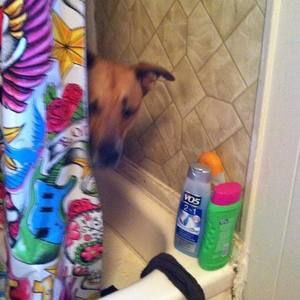 Meet your Posher, Shawna