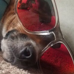 Meet your Posher, Desirae