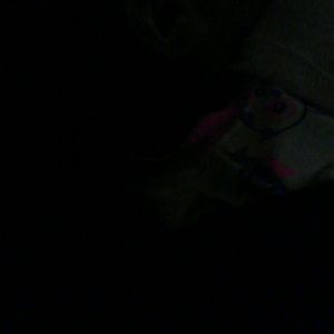 Meet your Posher, Evangeliz