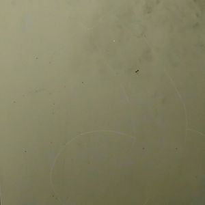 Meet your Posher, Richard