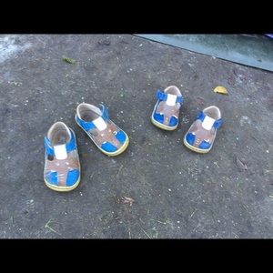 Meet your Posher, Hedwig