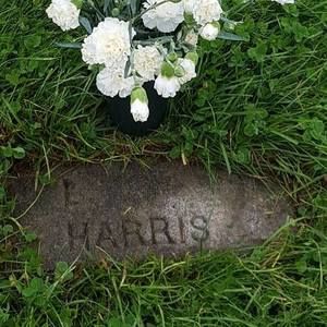 Meet your Posher, Diamond princess