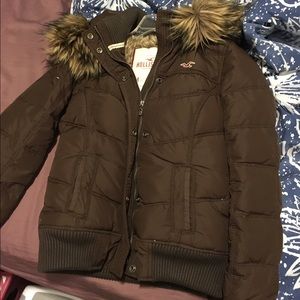Hollister Winter jacket