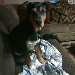 Meet your Posher, Kaylee