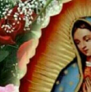 Meet your Posher, Eileen