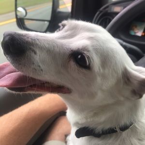 Meet your Posher, Paul