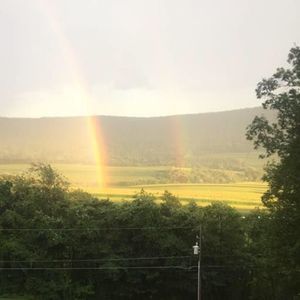 Meet your Posher, Verna