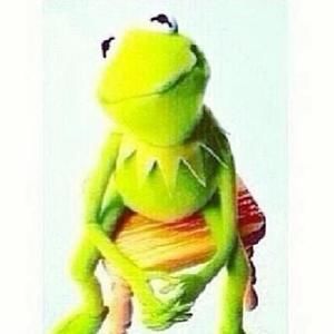 Meet your Posher, Harry