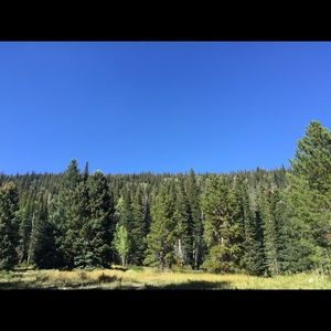 Meet your Posher, Elena