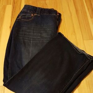 Lane Bryant Jeans