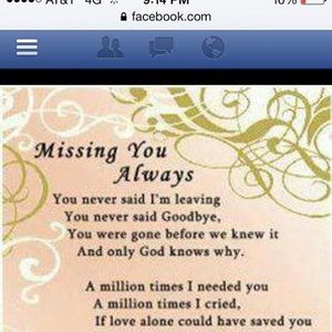 Meet your Posher, Dixie