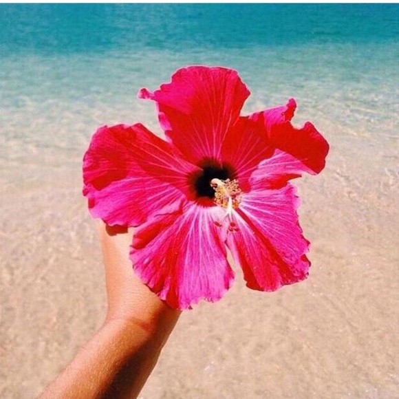 Meet your Posher, Holly