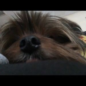 Meet your Posher, Sarah beth