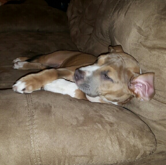 Meet your Posher, Kortney - Picture 1 of 1