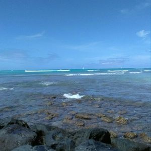 Meet your Posher, Mone