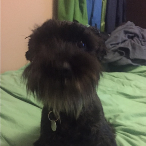 Meet your Posher, Joshua - Picture 1 of 1