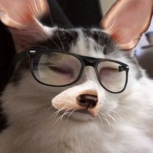 Meet your Posher, Cristina