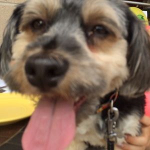 Meet your Posher, Rachel