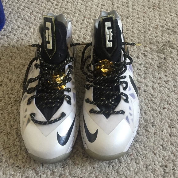 Lebron 10s Elite