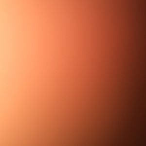 Meet your Posher, Corina