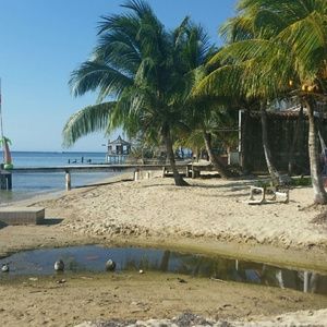 Meet your Posher, Bess