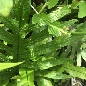 Meet your Posher, Kathleen