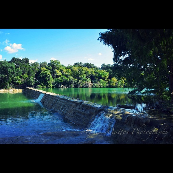 Meet your Posher, Sophia - Picture 1 of 1