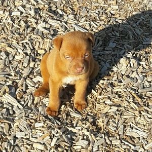 Meet your Posher, Bradley