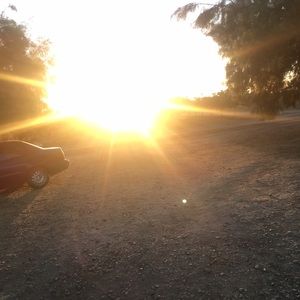 Meet your Posher, Benancio