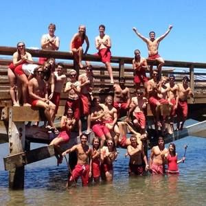 Meet your Posher, Harrison