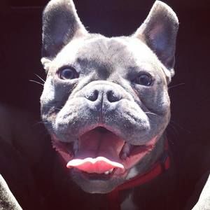 Meet your Posher, Marcos