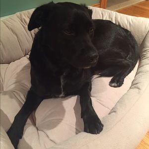 Meet your Posher, Elina