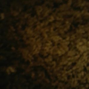 Meet your Posher, Diego