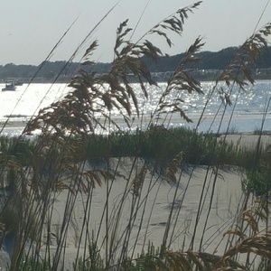 Meet your Posher, Sherri