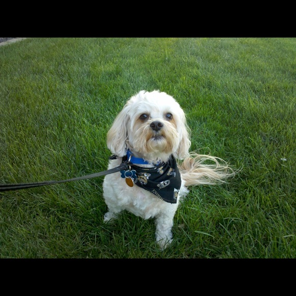 Meet your Posher, Kristen - Picture 1 of 1