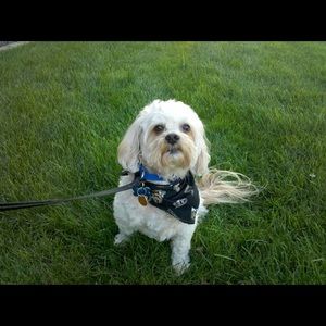 Meet your Posher, Kristen