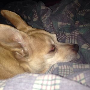 Meet your Posher, Carolyn