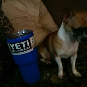 Blue tumbler dog not included