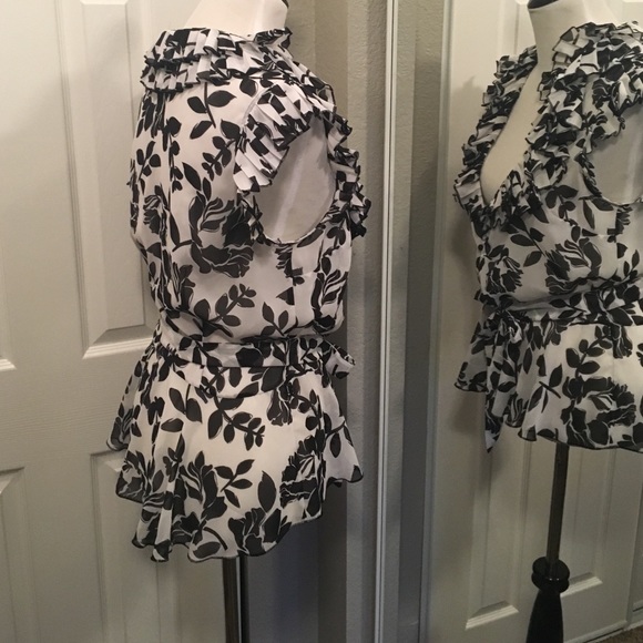 Sheer Blouse - Picture 2 of 3