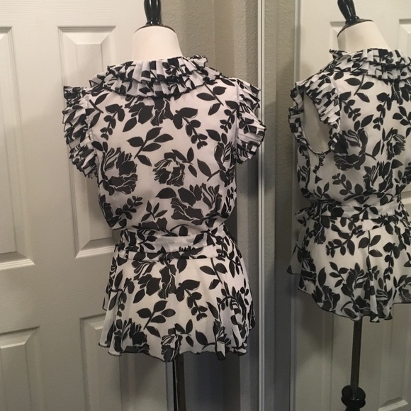 Sheer Blouse - Picture 3 of 3