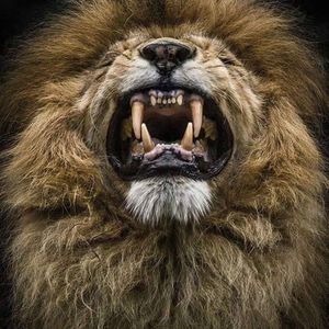 Meet your Posher, Tyree